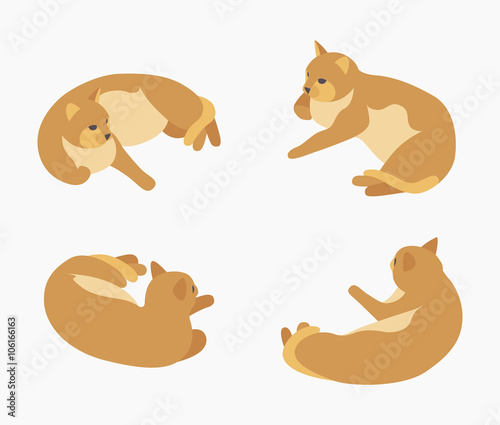 Isometric red lying cat. The objects are isolated against the white background and shown from different sides