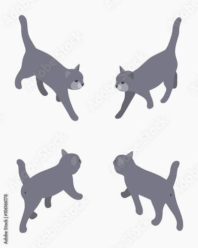 Isometric gray walking cat. The objects are isolated against the white background and shown from different sides