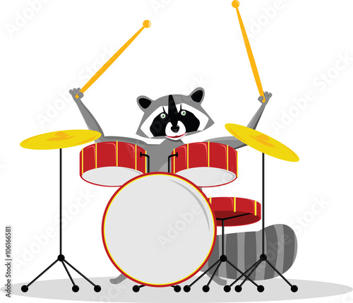 Raccoon drummer