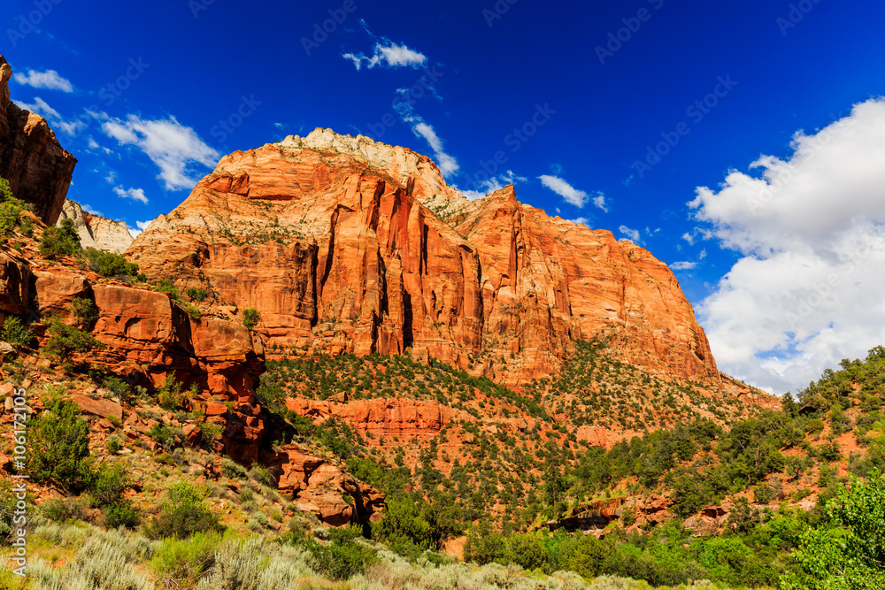 Fototapeta premium Zion National Park in Utah, USA.