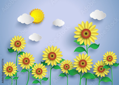 Fototapeta Naklejka Na Ścianę i Meble -  sun flower field