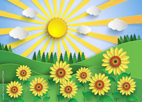 Fototapeta Naklejka Na Ścianę i Meble -  sun flower field