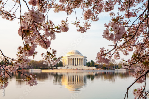 Thomas Jefferson Memorial Framed By Cherry Blossoms