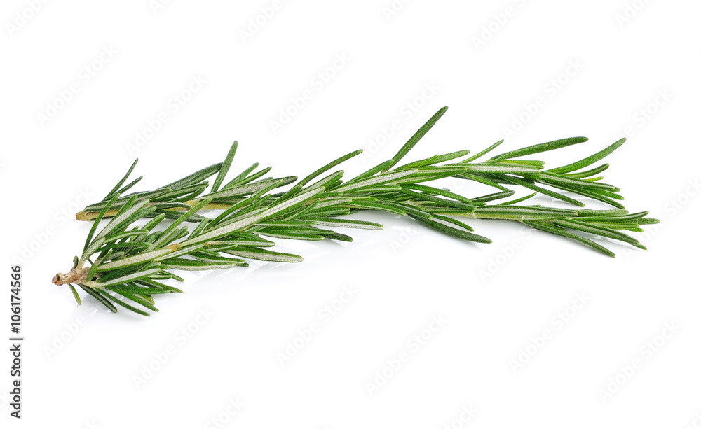 rosemary isolated on white background