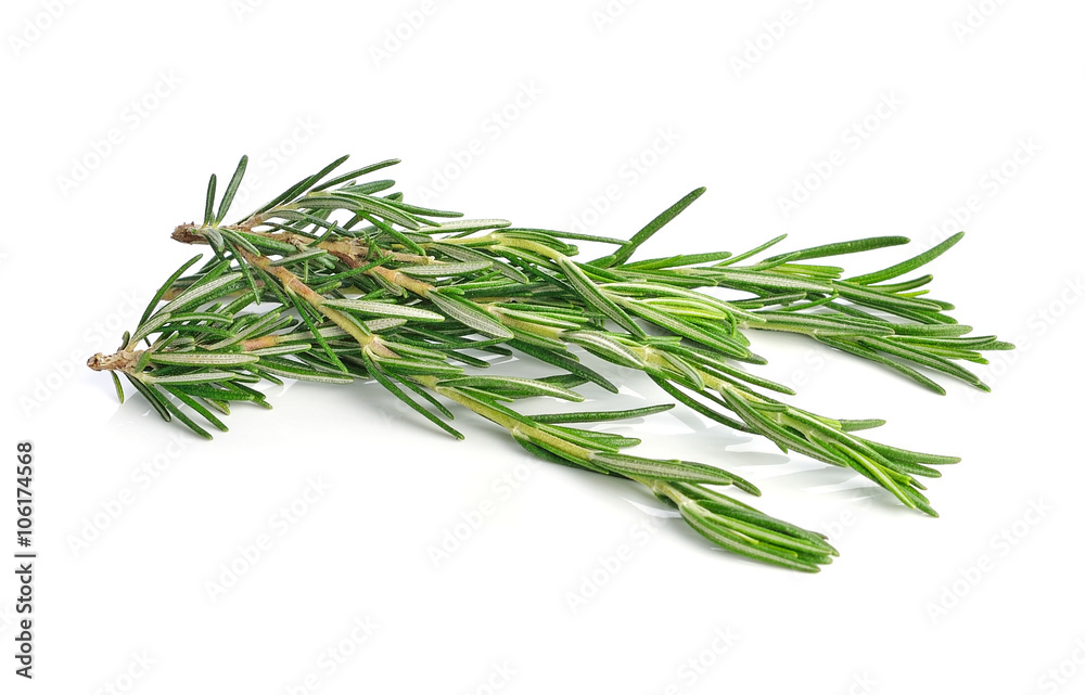 Fototapeta premium rosemary isolated on white background