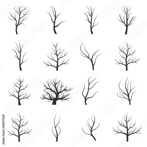 Abstract illustration - trees silhouette without leaves