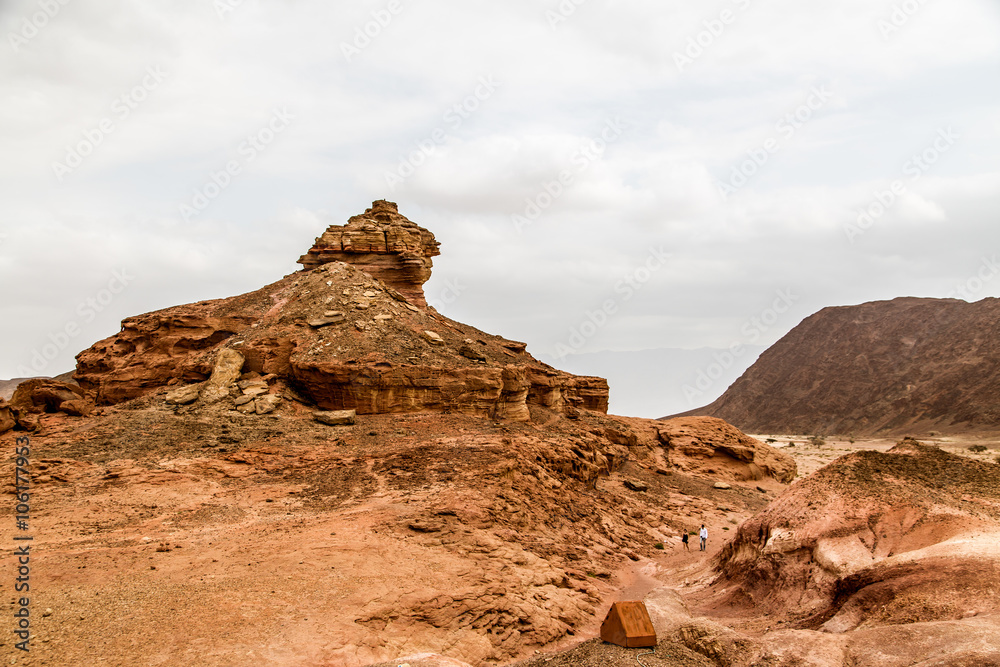 Fototapeta premium Beautiful red sandstone in the desert in Israel, Timna Park