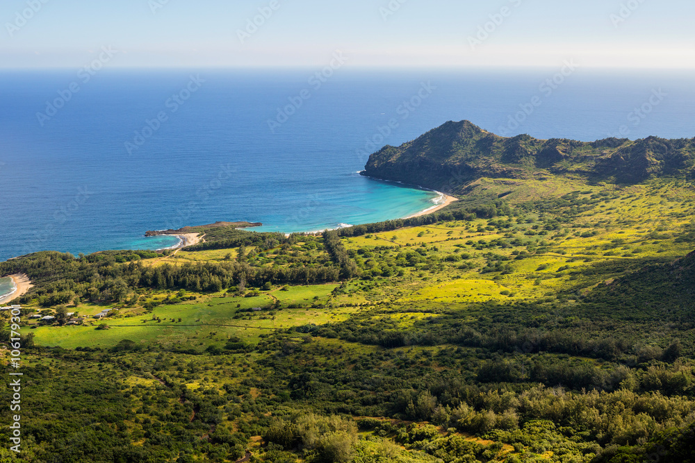 Aerial of green vegetation and water in Kauai