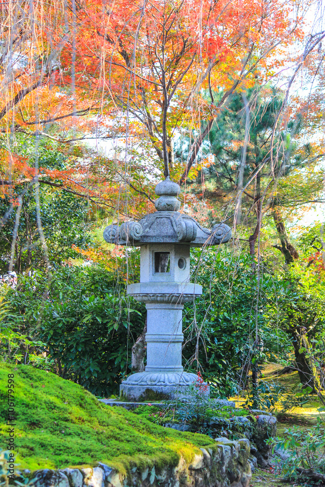 Stone post covered by color of nature Stone post covered by color of nature