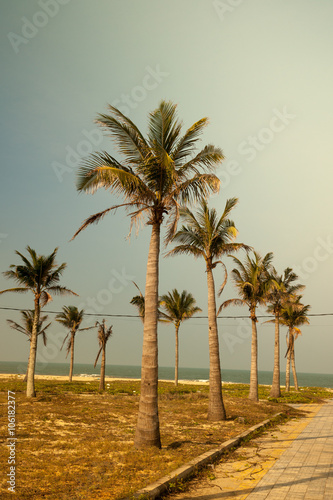 Palms against blue sky on a beach © romas_ph