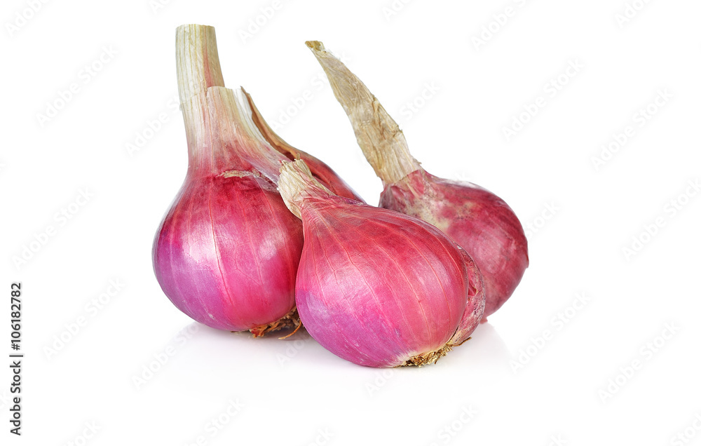 Fototapeta premium shallots on white background