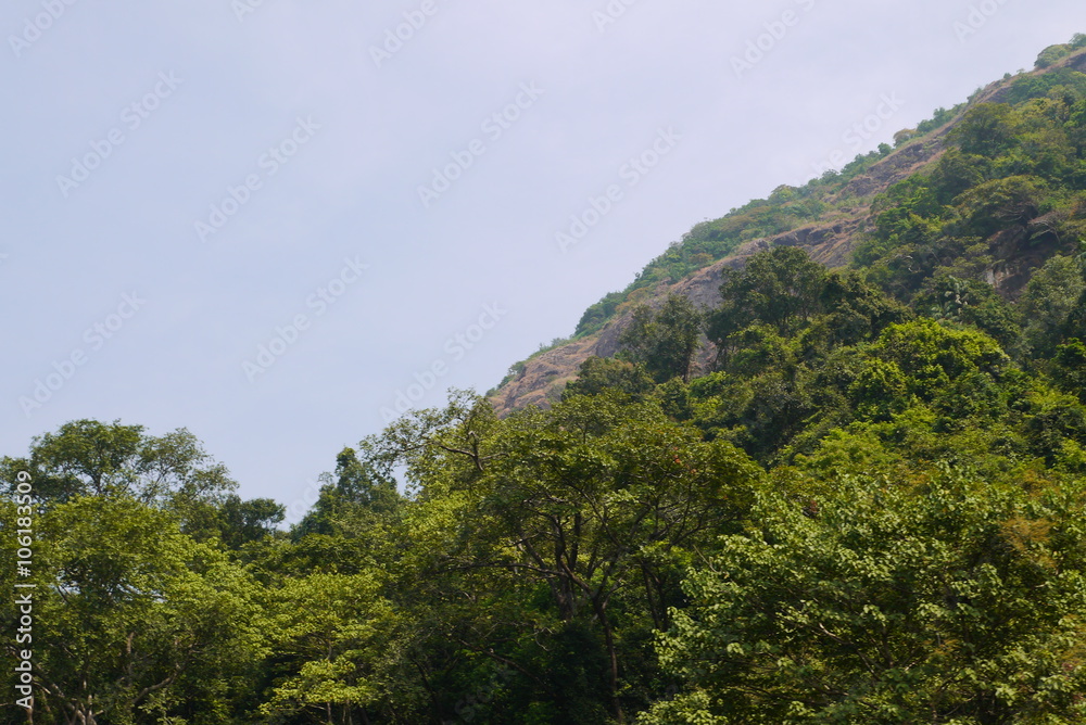 горы Западные Гаты  поросшие зелеными южными растениями