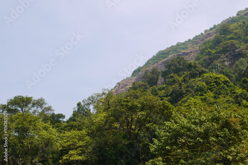 горы Западные Гаты поросшие зелеными южными растениями