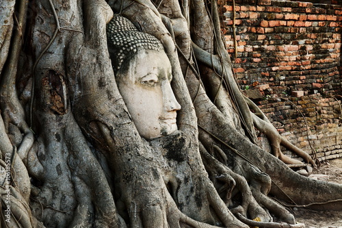 Head of Buddha Statue with the Tree Roots at Wat Mahathat, histo