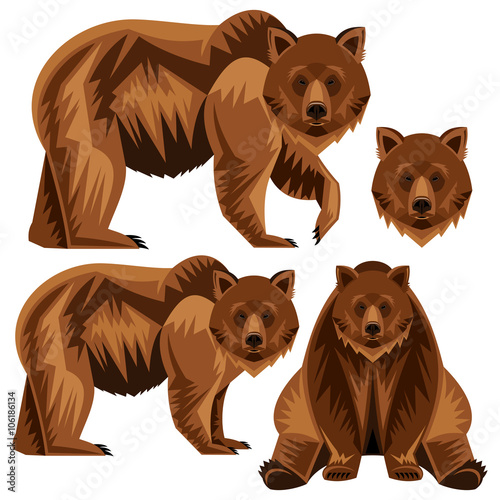Bear