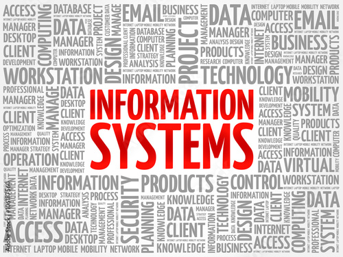 Information Systems word cloud concept