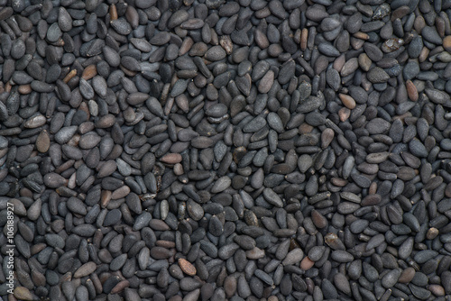 Black sesame seed