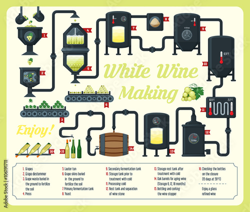 Wine making. how wine is made, wine elements, infographic