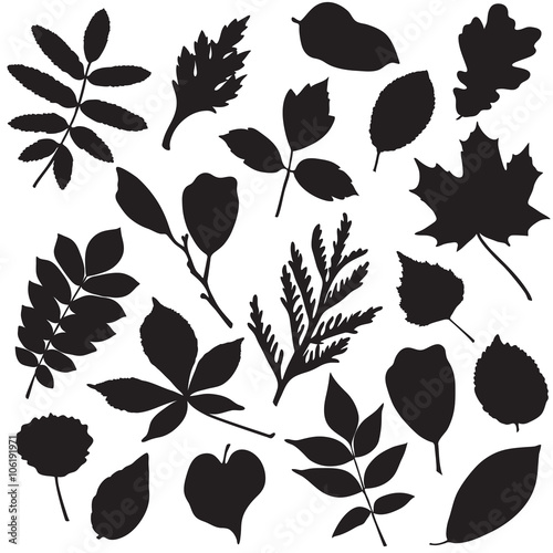 Collection of leaves silhouettes