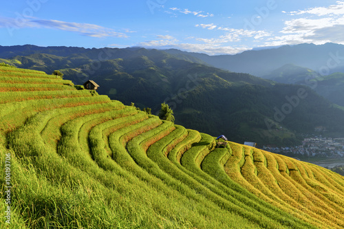 terrace rice field in asia © saravut