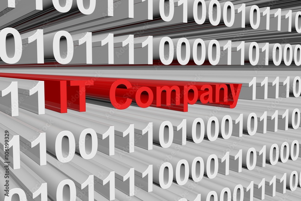 company it is presented in the form of binary code
