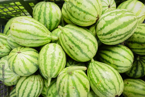 Wallpaper Mural Young Water Melon , Torontodigital.ca