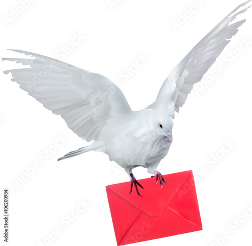 light dove with red mail illustration