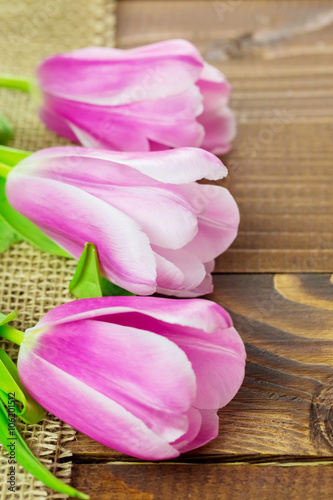 beautiful pink tulips lying on the burlap on the background of old brown boards. The idea of Mother's day cards, March 8, birthday with free space for your text