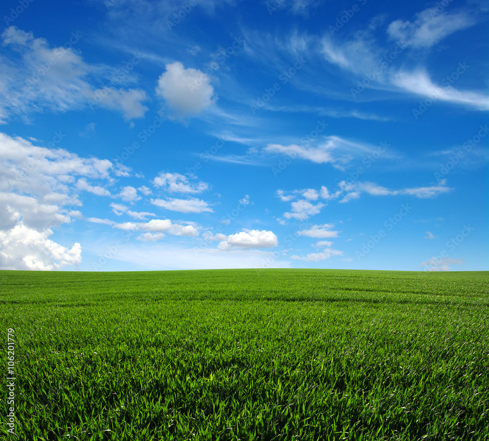 green field green field