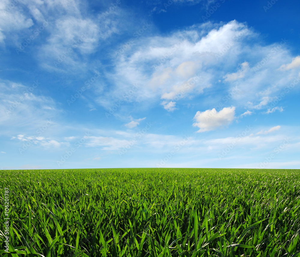 green field green field
