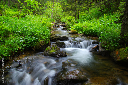  Stream in the wood