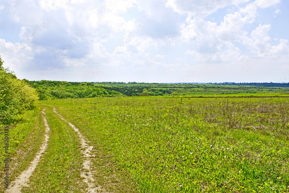 Rural summer landscape with soil road