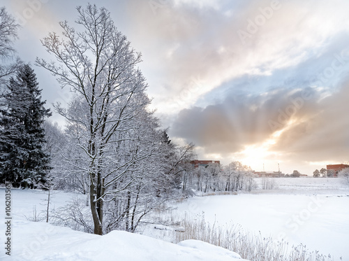 Obraz na płótnie winter Landscape w salonie