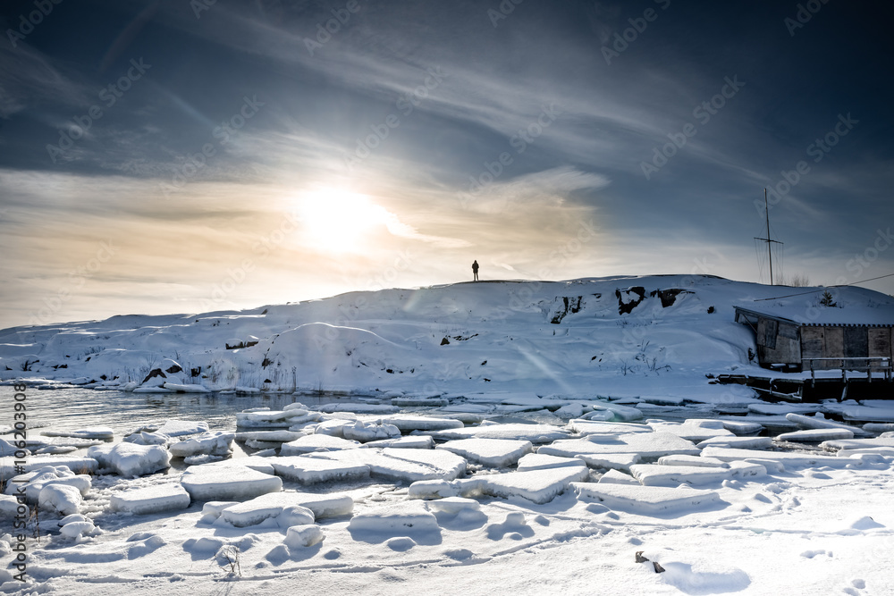 Arctic Winter Landscape