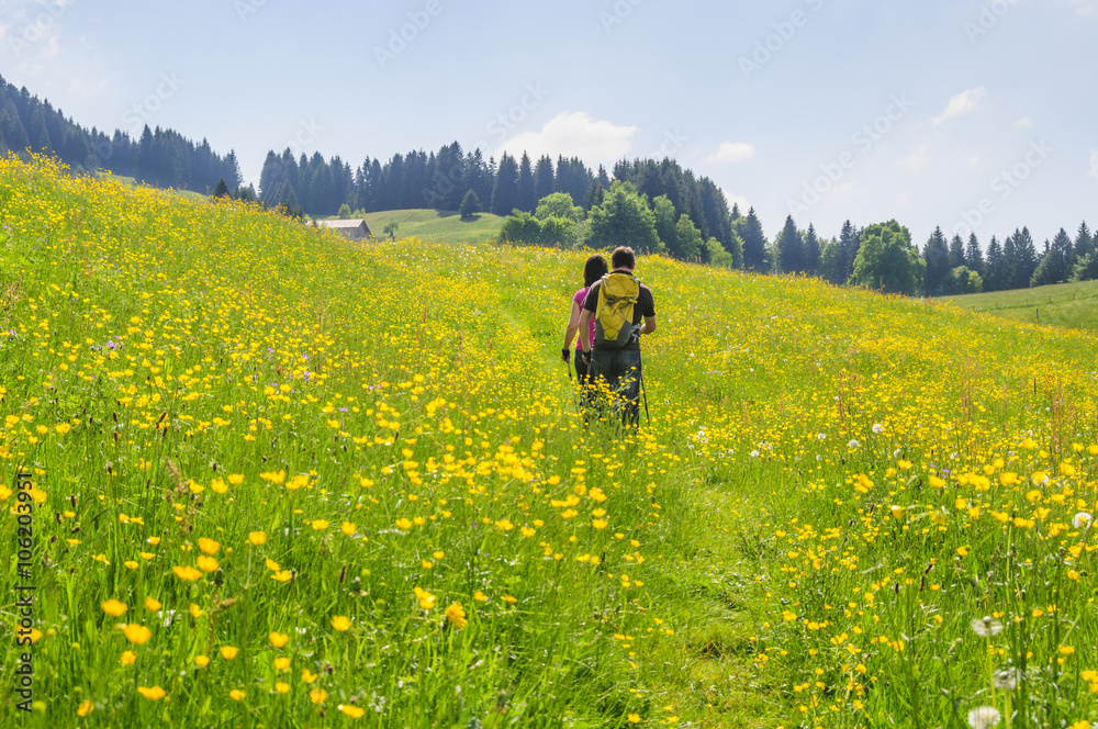 Wanderung in frischen Blumenwiesen Wanderung in frischen Blumenwiesen