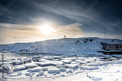 Obraz na płótnie Arctic Winter Landscape w salonie