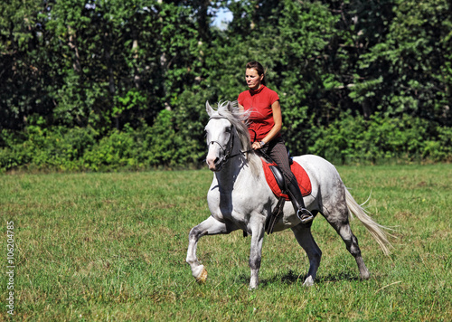 Lovely woman ride horseback in the field      © horsemen