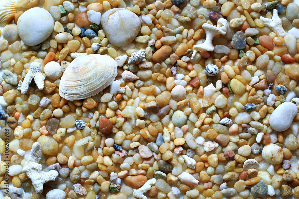 sea vacation, pebbles and sea shells on the beach for background sea vacation, pebbles and sea shells on the beach for background