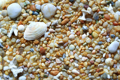 sea vacation, pebbles and sea shells on the beach for background