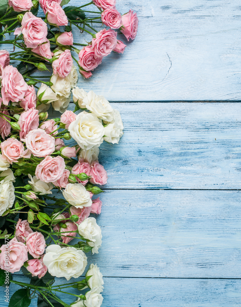 Naklejka premium Delicate fresh roses on the blue wooden background.