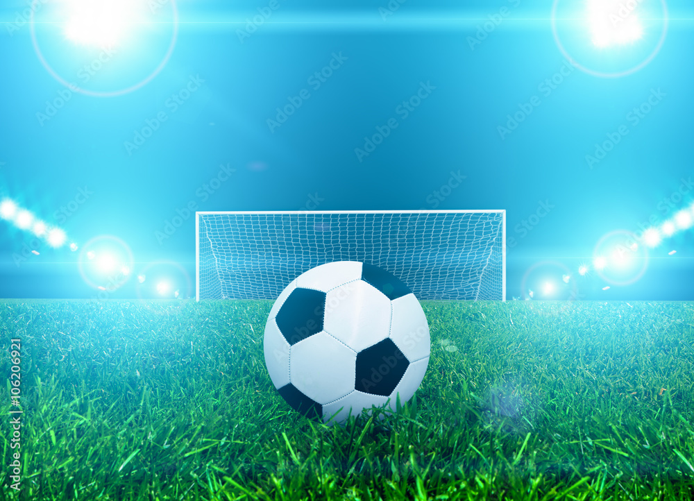 Naklejka premium Ball on penalty point