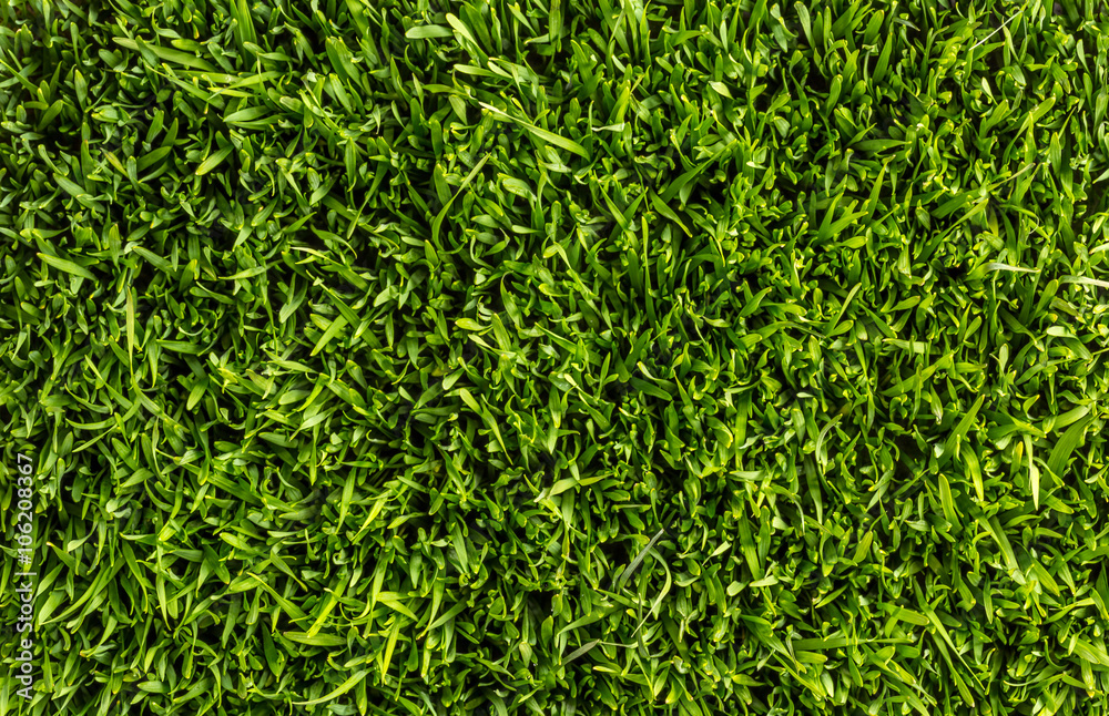Green grass Green grass