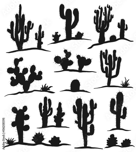 Set of cactuses isolated on white