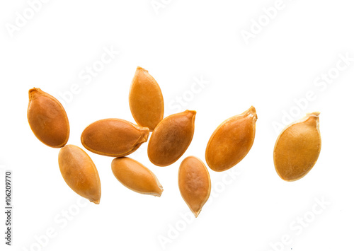pumpkin seeds isolated