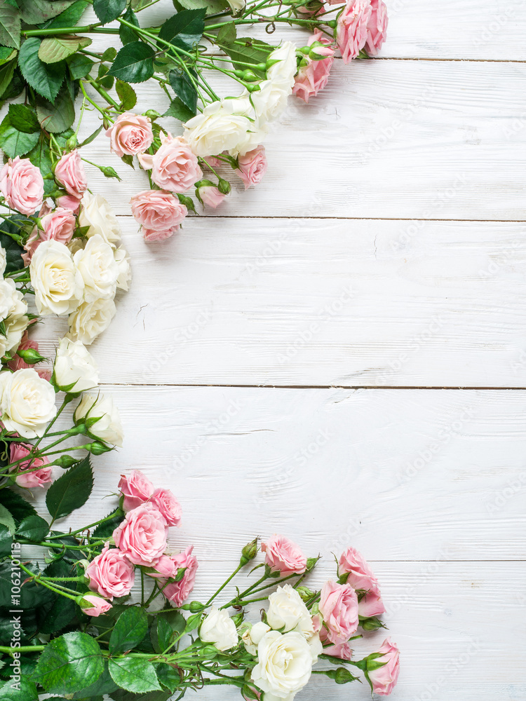 Delicate fresh roses on the white wooden background. - obrazy, fototapety, plakaty 