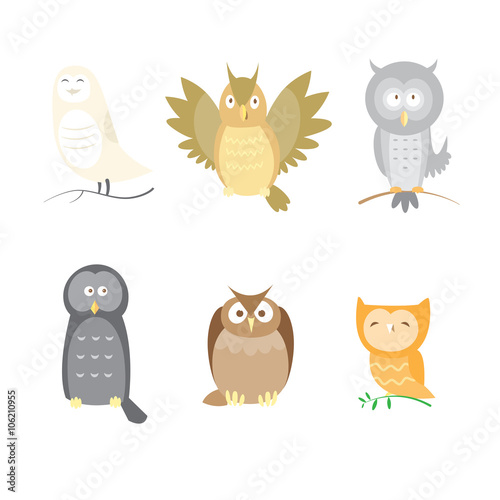 Photos Cartoon owls set. Six different species of owls. Vector image.