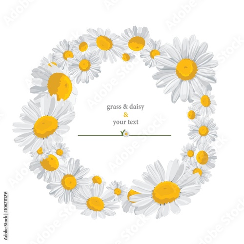Fototapeta Naklejka Na Ścianę i Meble -  summer print with daisies