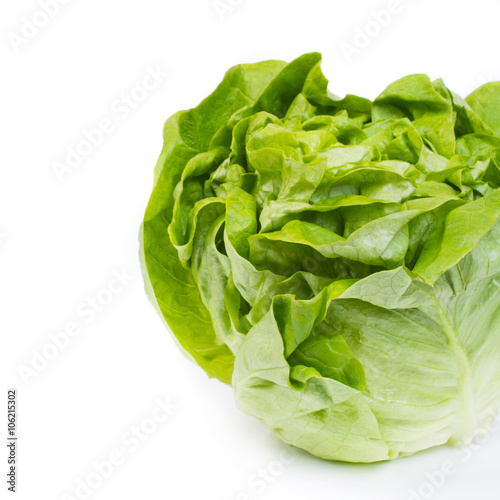 fresh lettuce salad - isolated on white