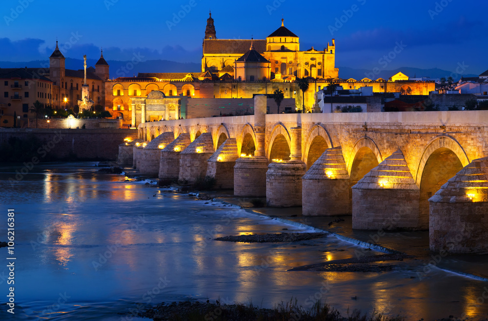  Cordoba with Roman bridge and  Mosque-cathedral in night
