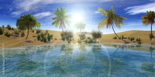 oasis in the desert, palm trees and lake photo